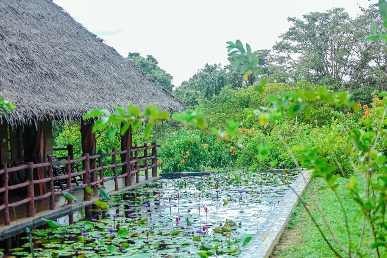 Sigiriya Water Cottage Εξωτερικό φωτογραφία