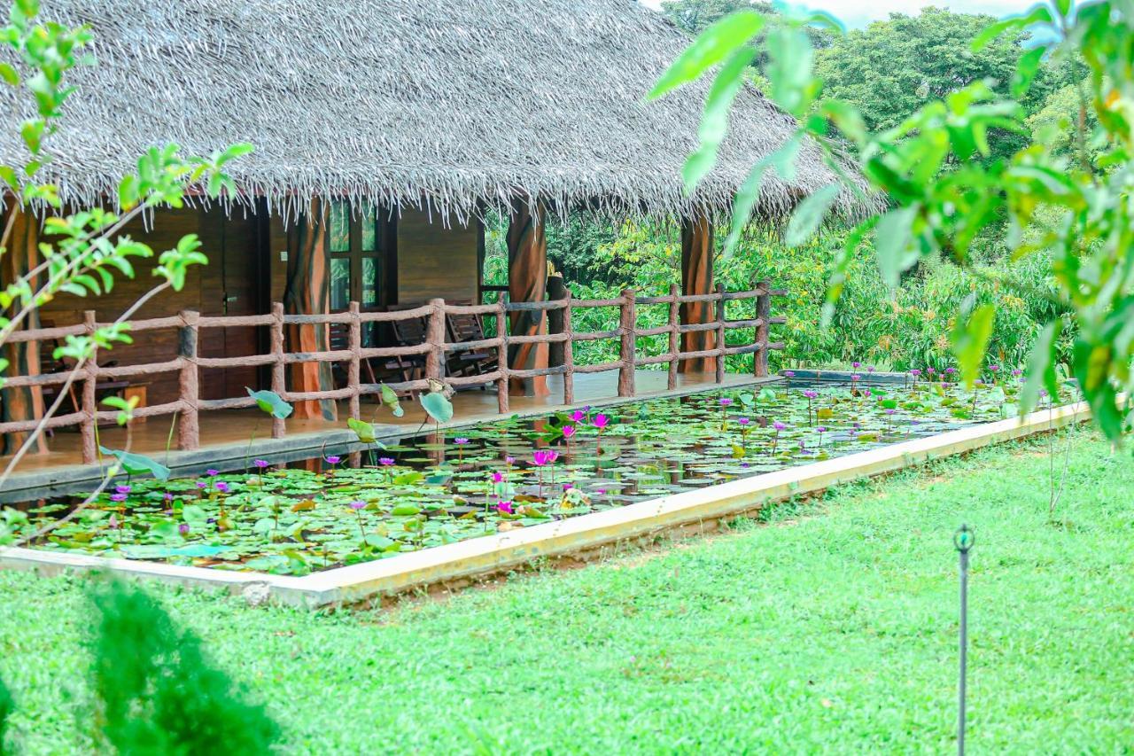 Sigiriya Water Cottage Εξωτερικό φωτογραφία