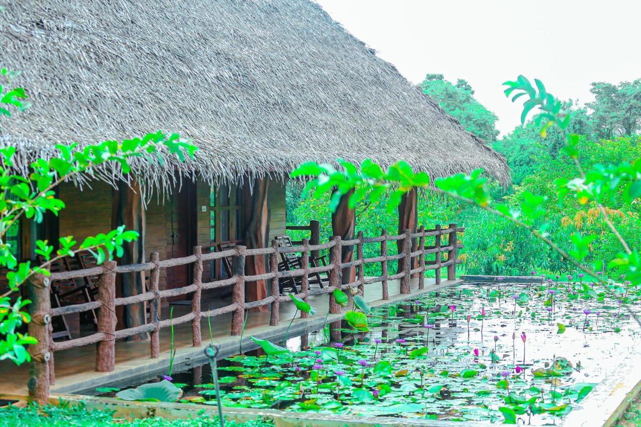 Sigiriya Water Cottage Εξωτερικό φωτογραφία