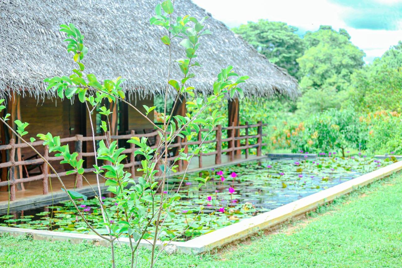 Sigiriya Water Cottage Εξωτερικό φωτογραφία