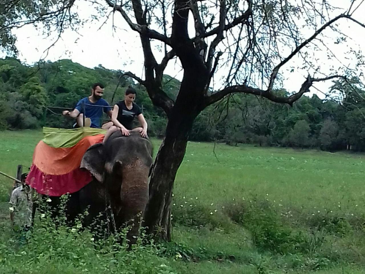 Sigiriya Water Cottage Εξωτερικό φωτογραφία